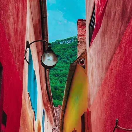 Vibe Brašov